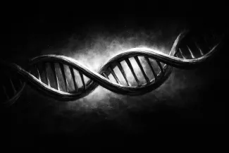 Representation of DNA